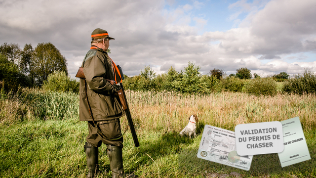 Permis de chasse : prix des redevances 2023 - 2024